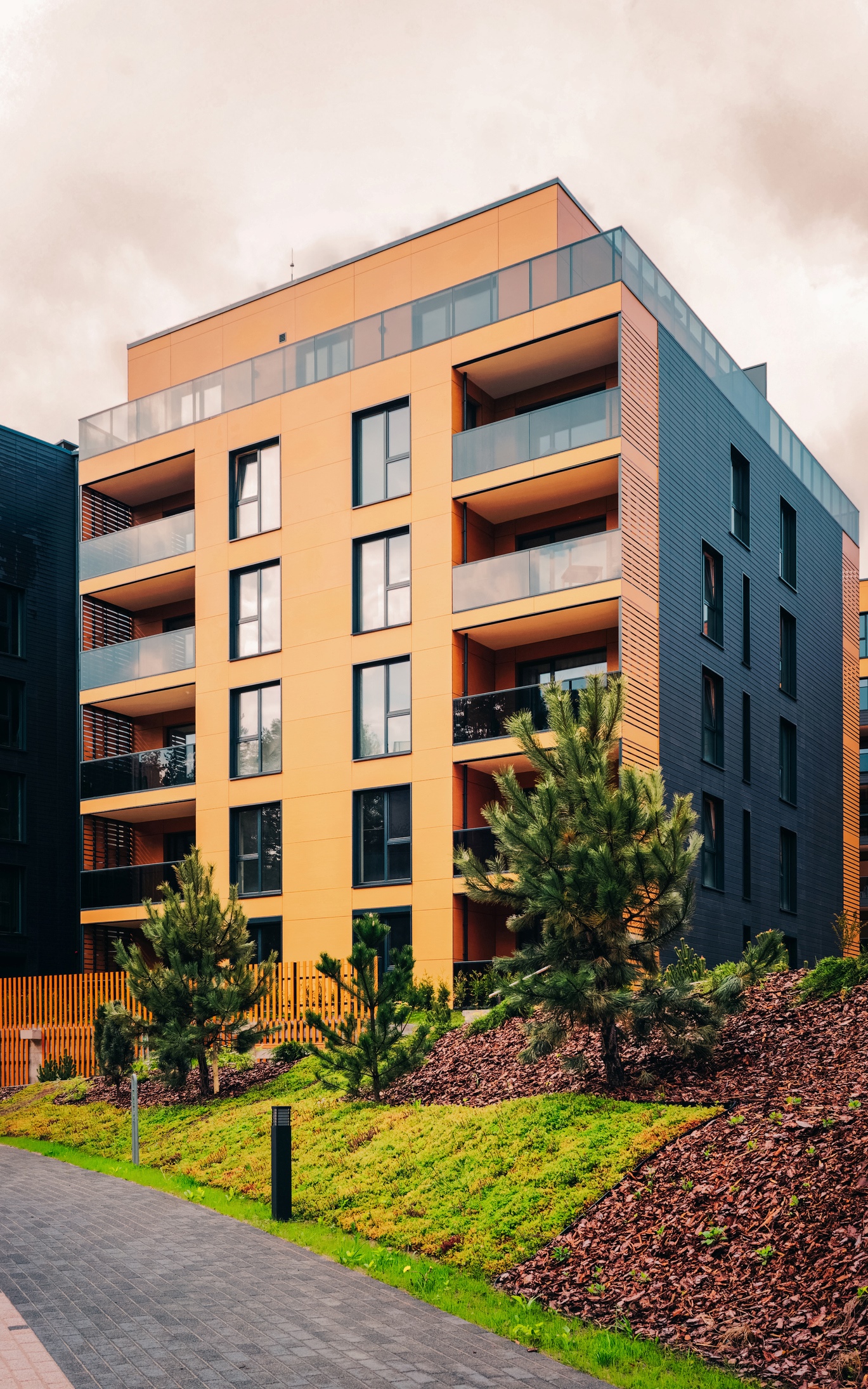 Estudios del consum...