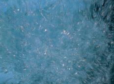 Agua