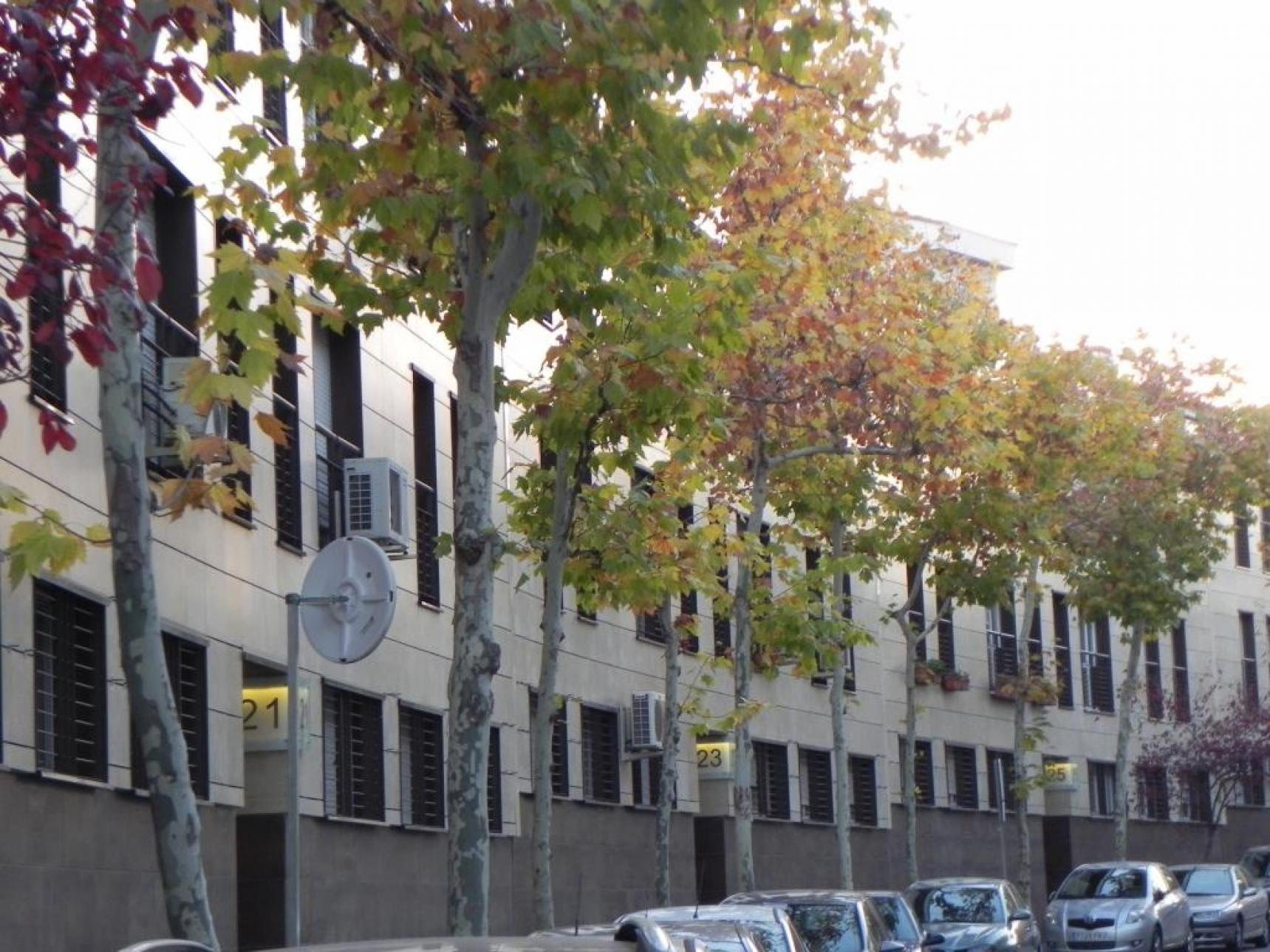 Actuacion Pareer Crece Edifcio Oscar
