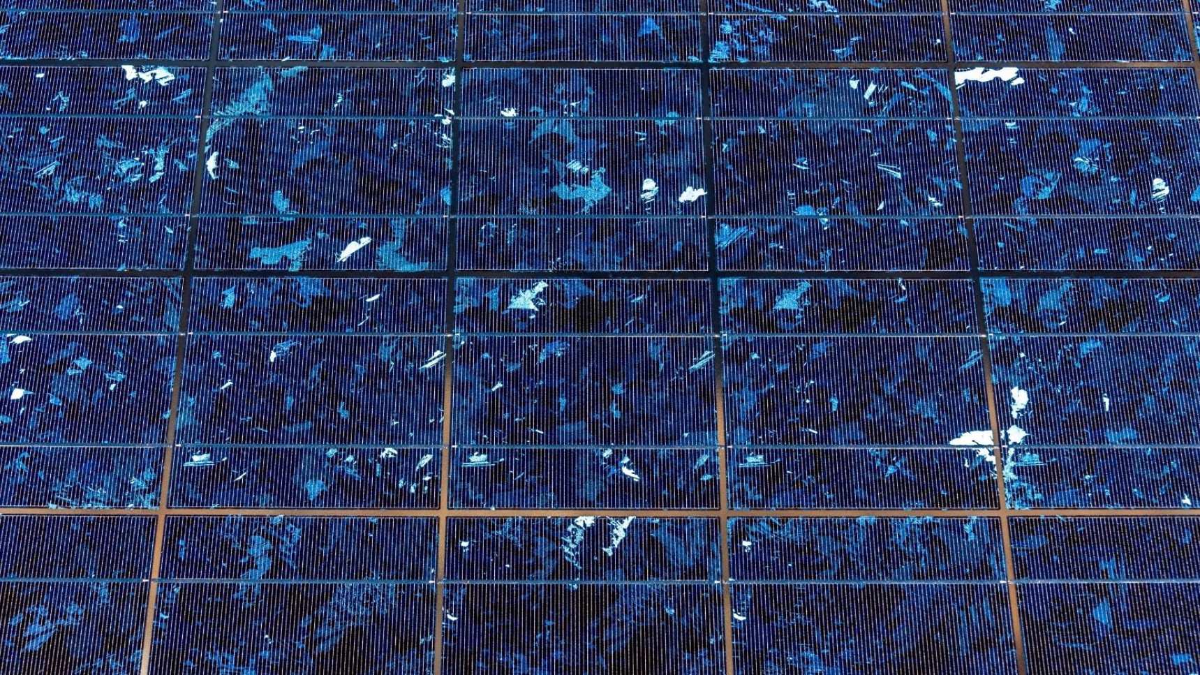 El MITECO destina 177 millones a impulsar 544 proyectos de energías renovables innovadoras 