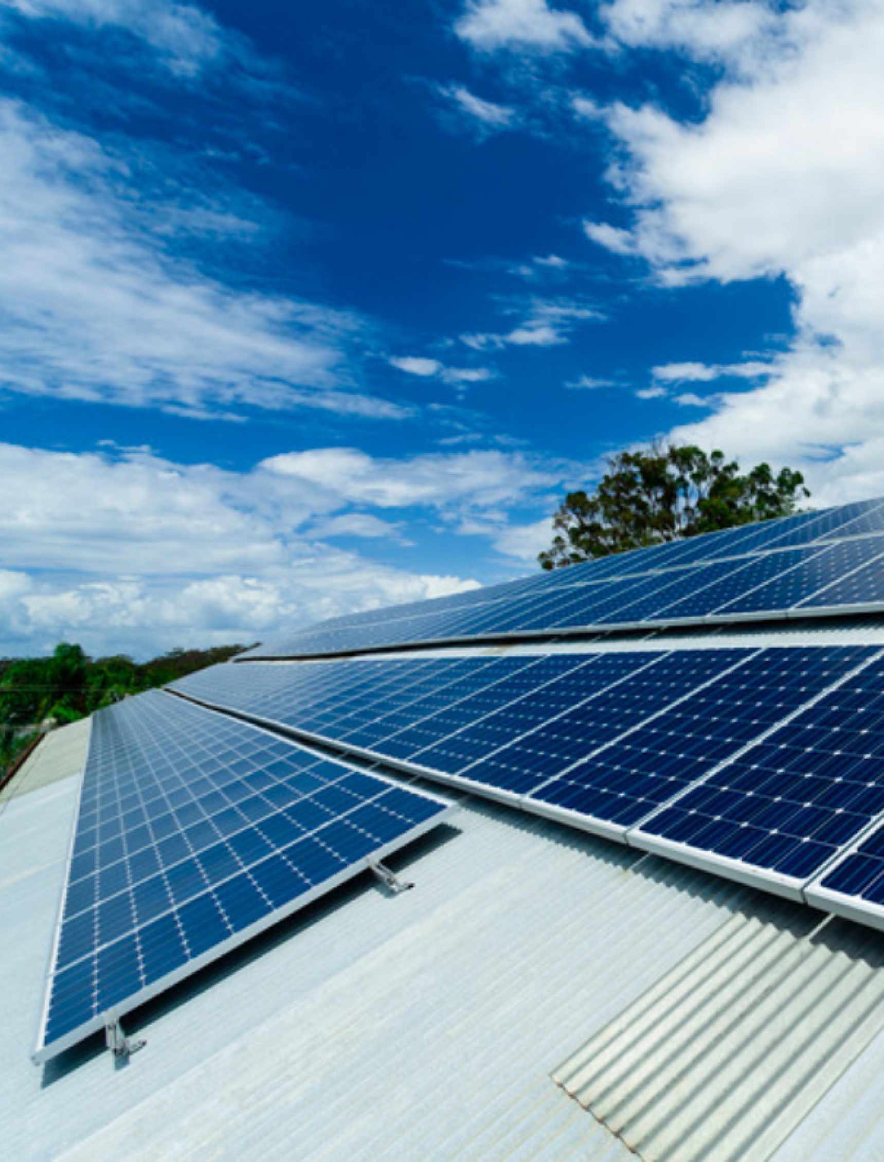 El MITECO lanza las primeras ayudas del PERTE ERHA para proyectos piloto de comunidades energéticas