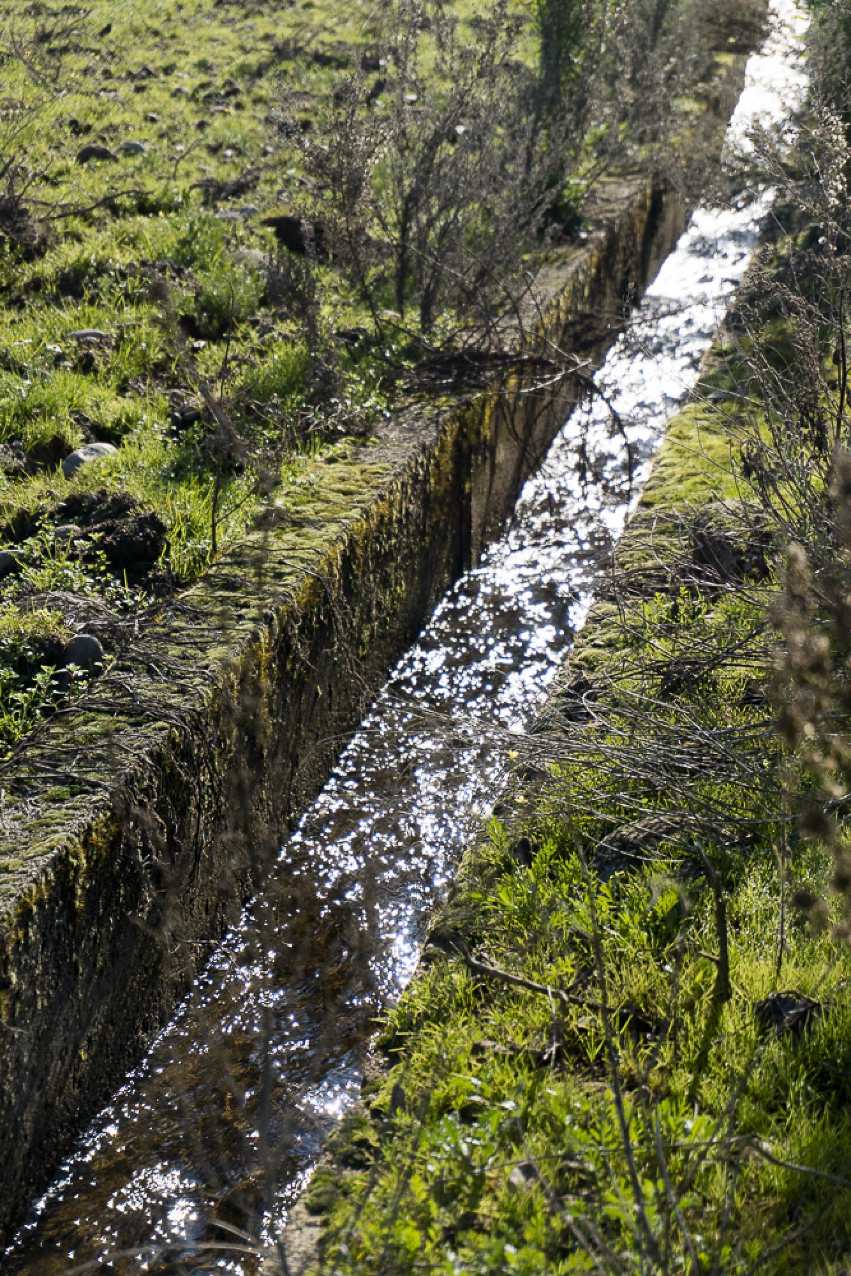 Agricultura. Canal de riego