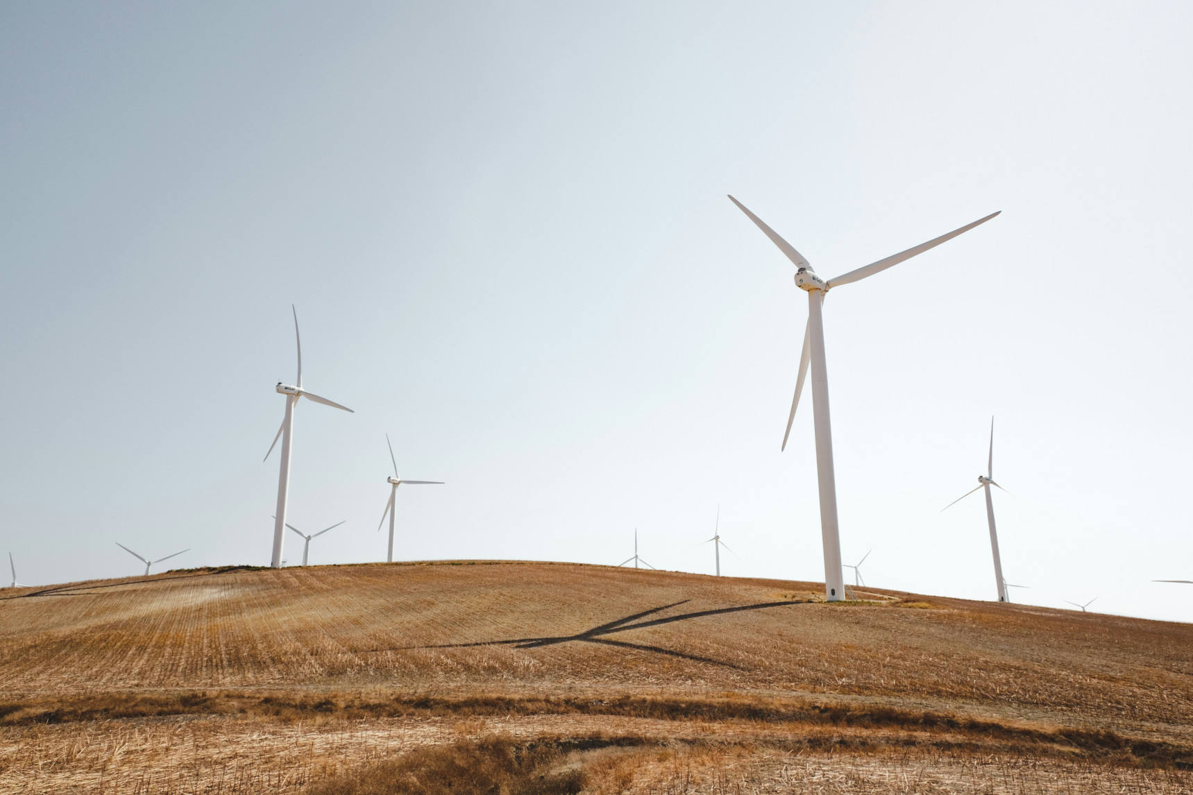 Energía eólica. Imagen obtenida de la web de MITECO