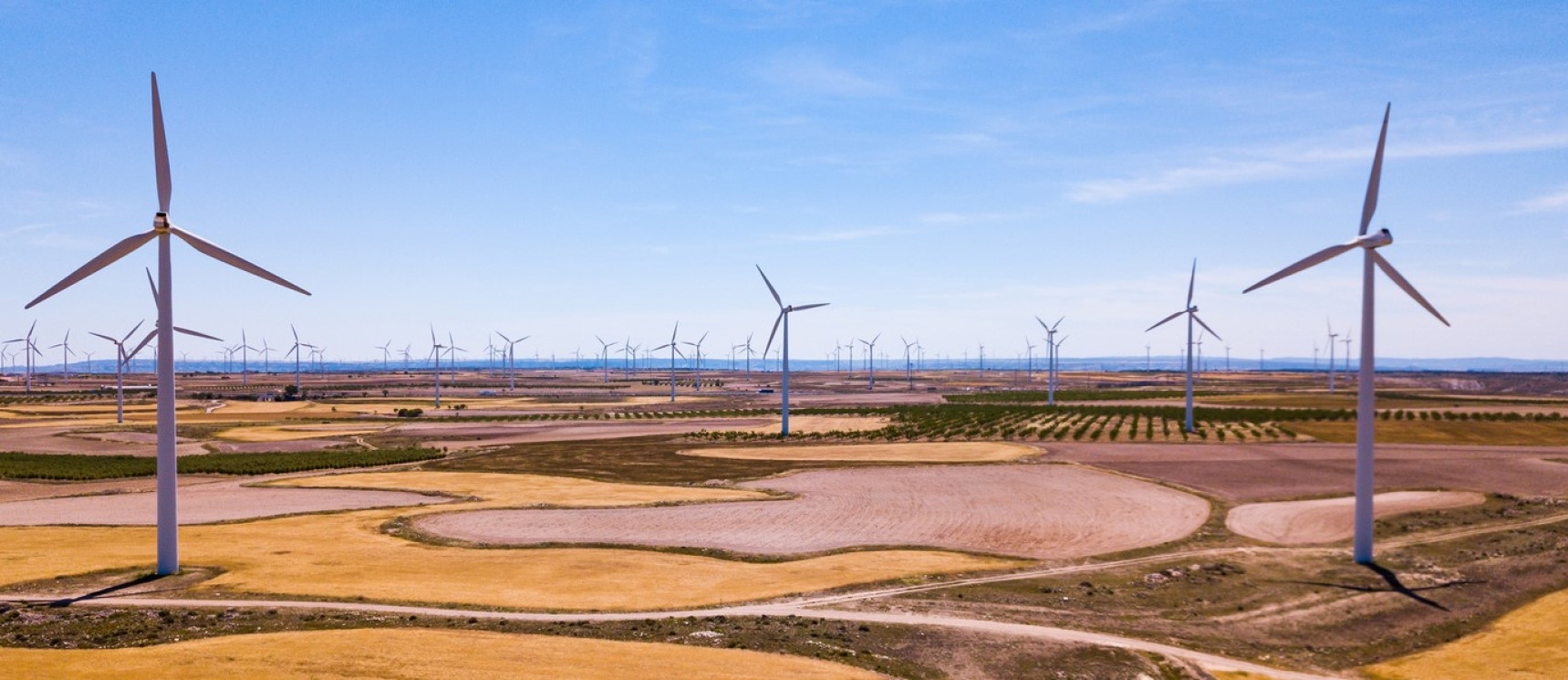 Parque eólico
